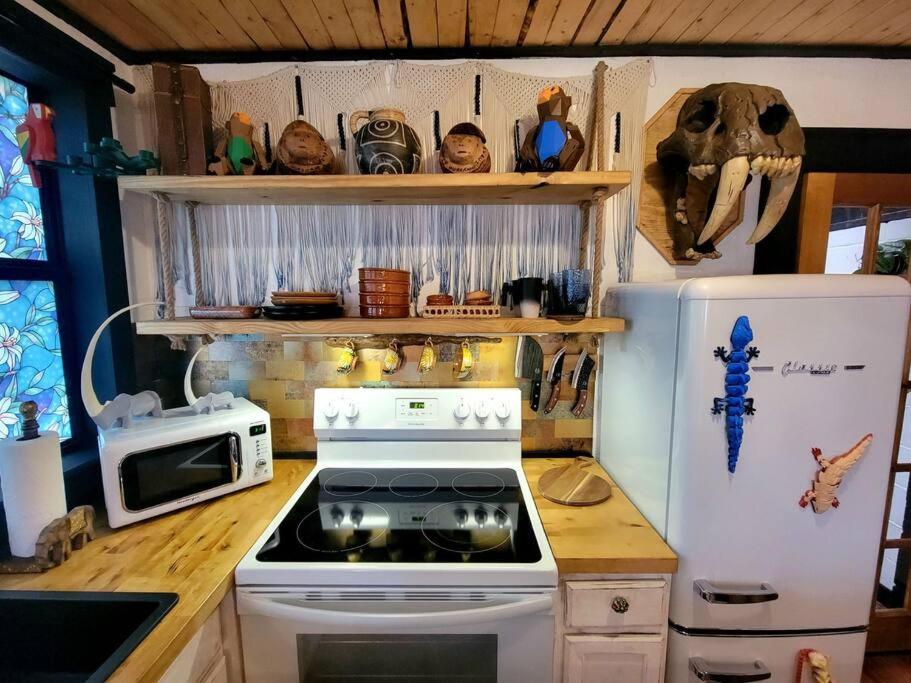 Villa Cozy Af Jungle-House Hideaway Tampa Esterno foto