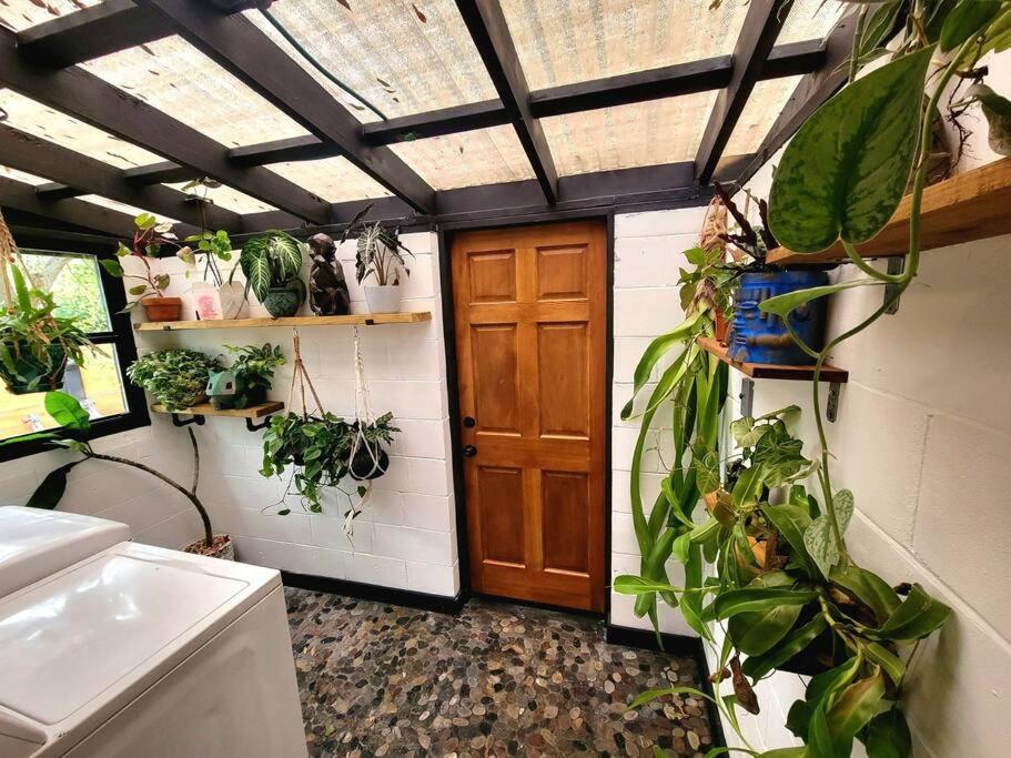 Villa Cozy Af Jungle-House Hideaway Tampa Esterno foto