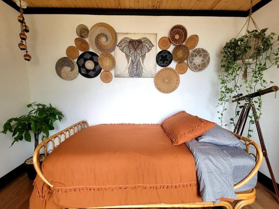 Villa Cozy Af Jungle-House Hideaway Tampa Esterno foto