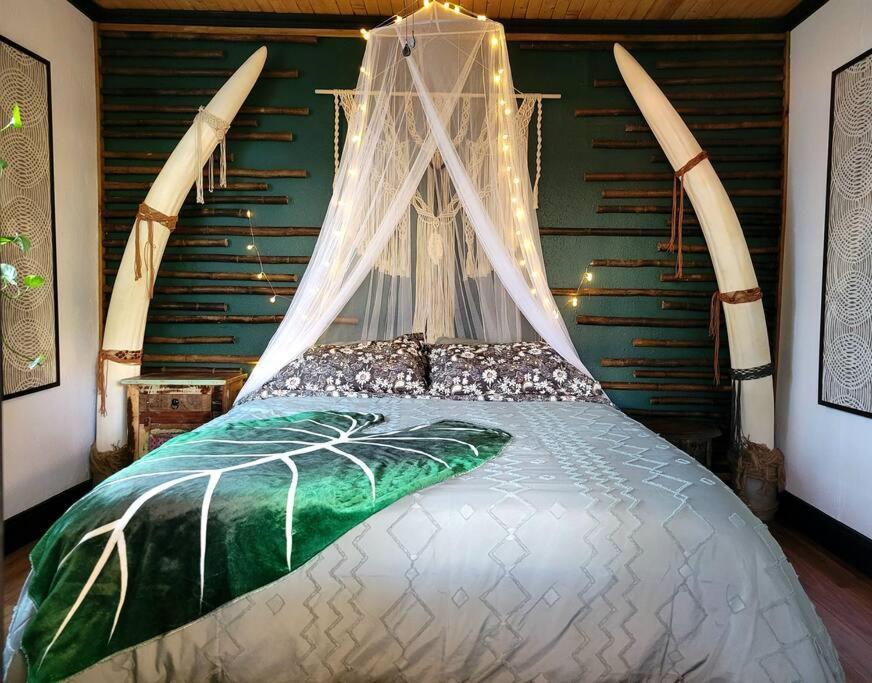 Villa Cozy Af Jungle-House Hideaway Tampa Esterno foto