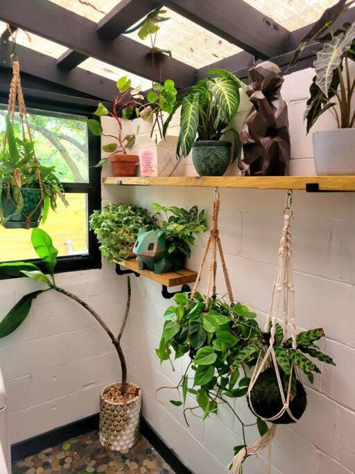 Villa Cozy Af Jungle-House Hideaway Tampa Esterno foto