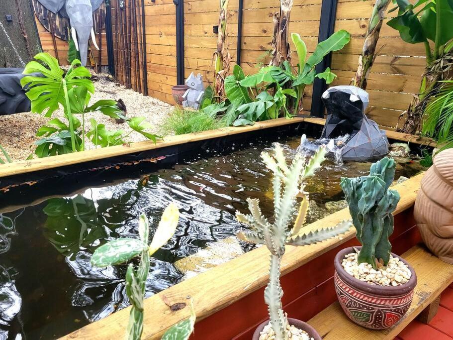 Villa Cozy Af Jungle-House Hideaway Tampa Esterno foto