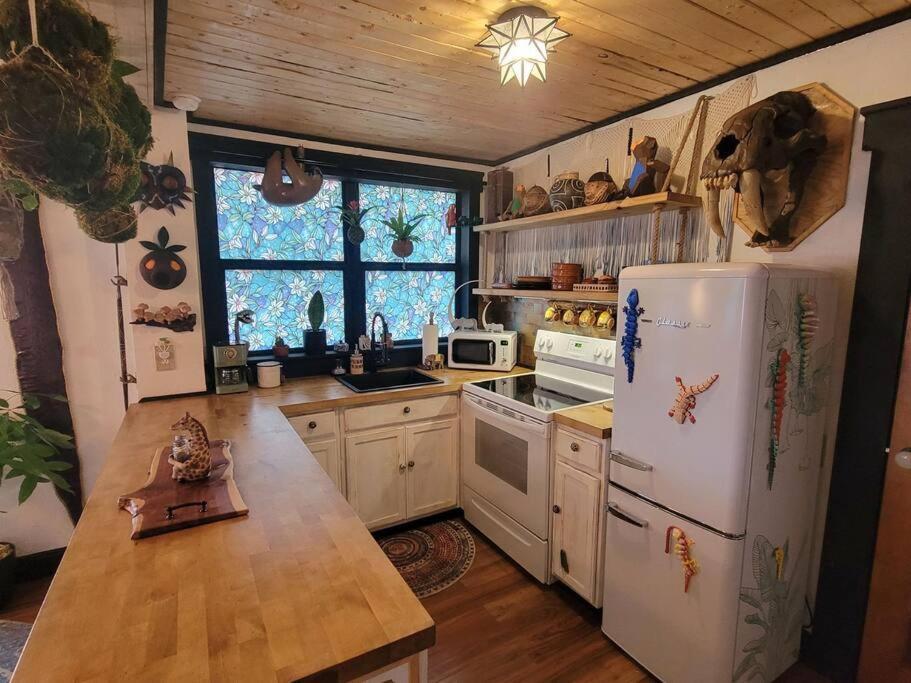 Villa Cozy Af Jungle-House Hideaway Tampa Esterno foto