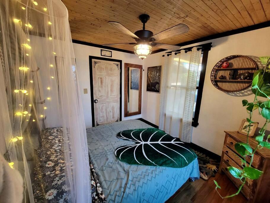 Villa Cozy Af Jungle-House Hideaway Tampa Esterno foto