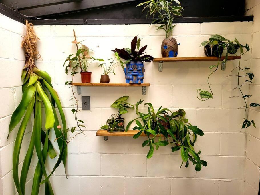 Villa Cozy Af Jungle-House Hideaway Tampa Esterno foto